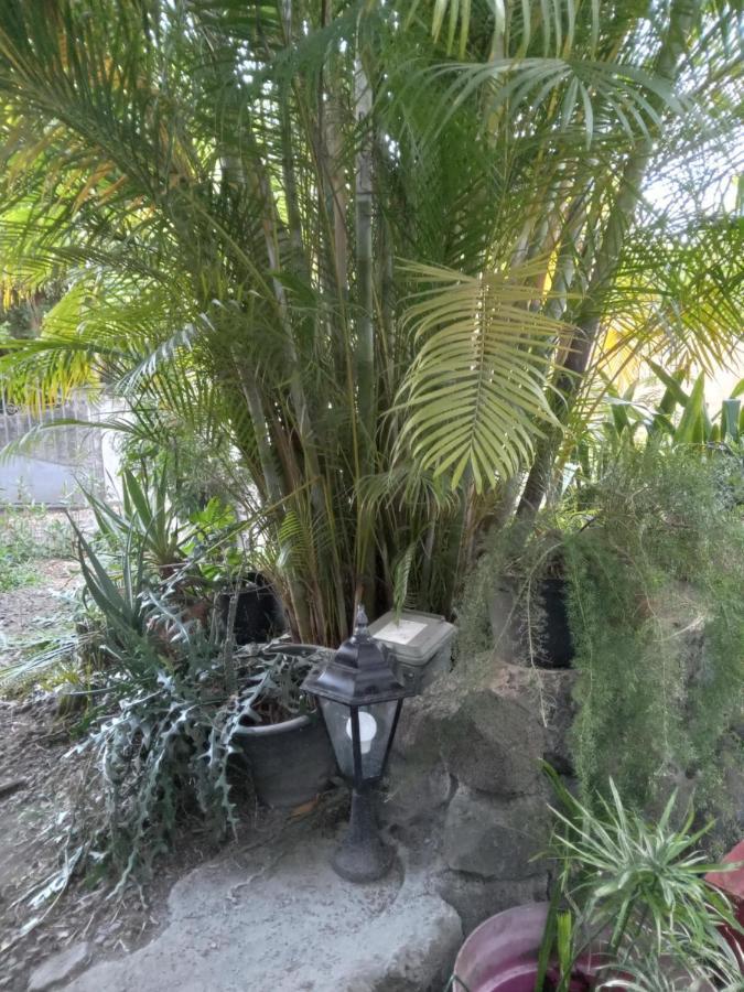 Le Jardin Villa Saint-Leu Exterior photo